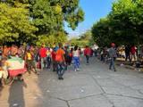 Migrantes, en su mayoría haitianos saturan oficinas de Comar, piden se agilice trámite por.la gran cantidad de personas que llegan a Tapachula. / Foto: Alejandro Gómez | Diario del Sur